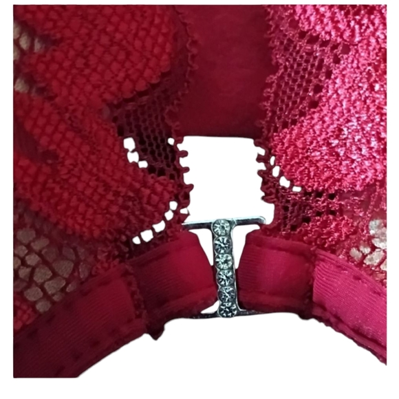 Adore Me Red Lace Pushup Bra - Picture 6 of 6